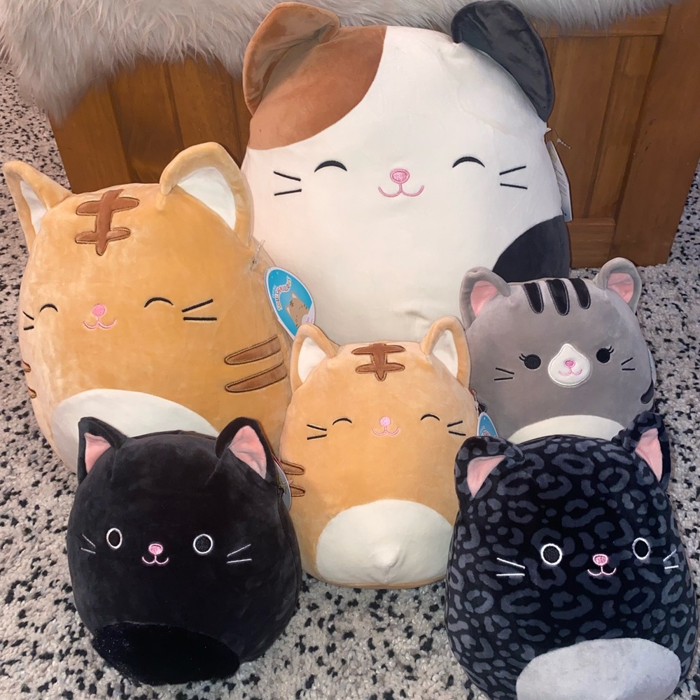 Squishmallow bundle